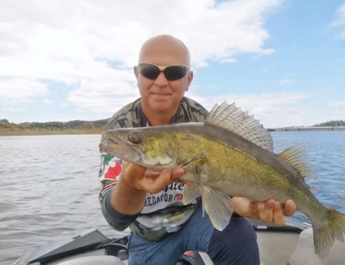 La pêche au sandre sur la lac d’alqueva (vidéo)